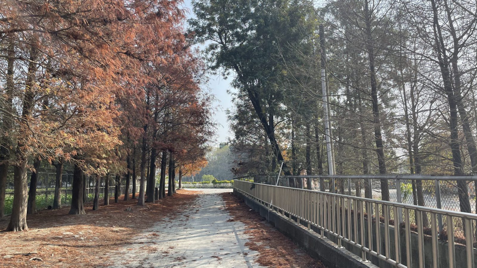 農田文物陳列館 -2